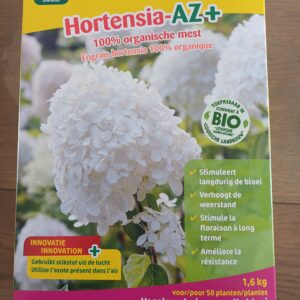 Hortensia AZ