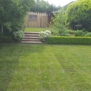 Oud grasveld verwijderen en nieuwe graszoden leggen